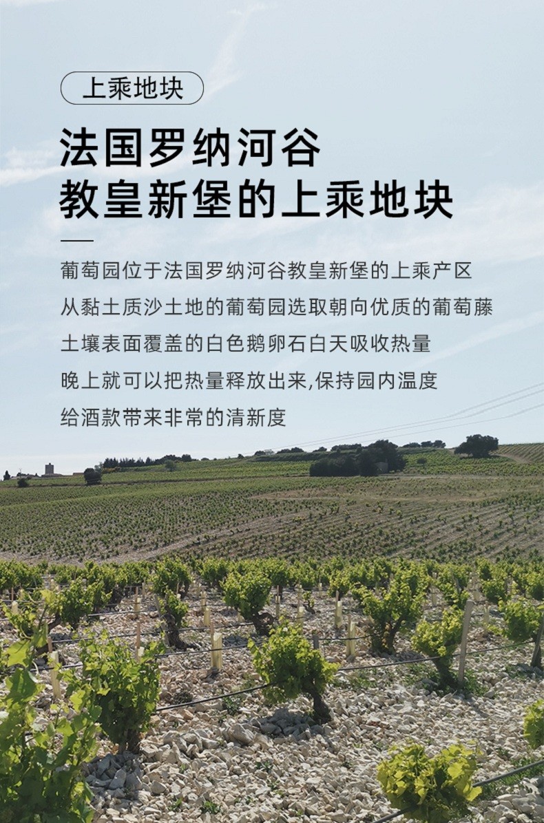 發(fā)過(guò)羅納河谷精選葡萄