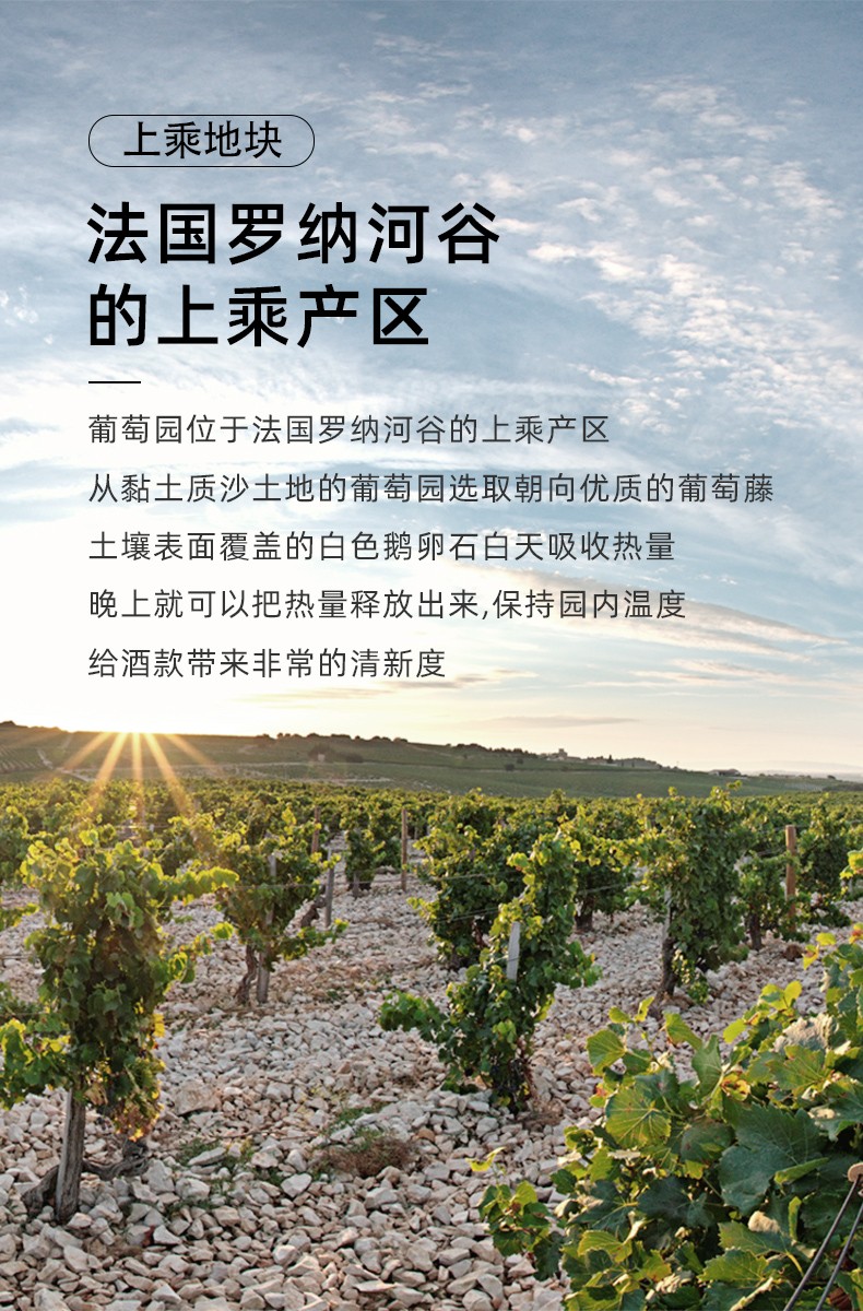 羅納河谷上乘產(chǎn)區(qū)